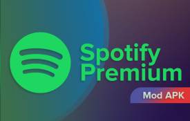 Comparing Spotify Mod APK Vs. Official Premium Subscription